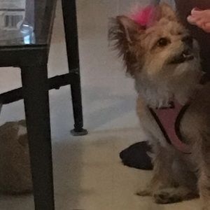 Meet your Posher, Maria